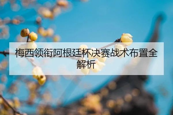 img_1788708665892_340_1_104.jpg