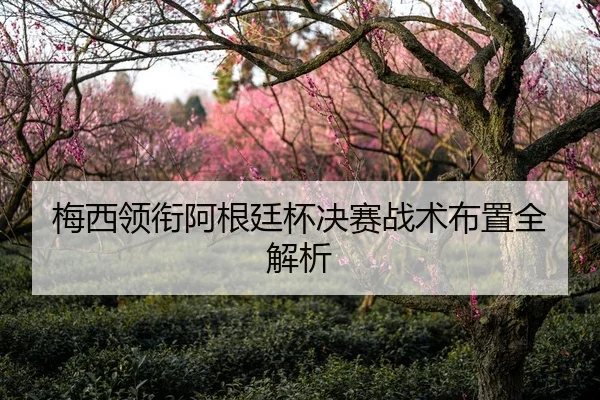 梅西领衔阿根廷杯决赛战术布置全解析